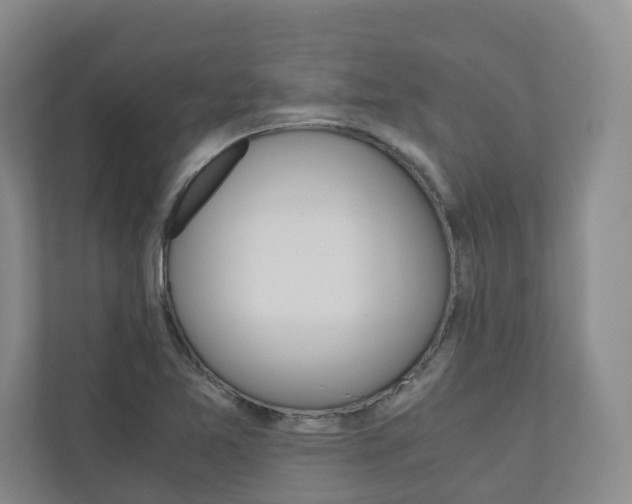 X0000111031365200906251109