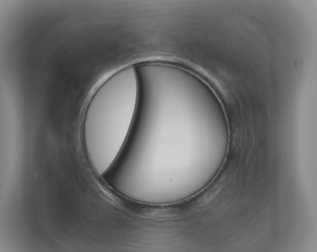 X0000111031367200906251109
