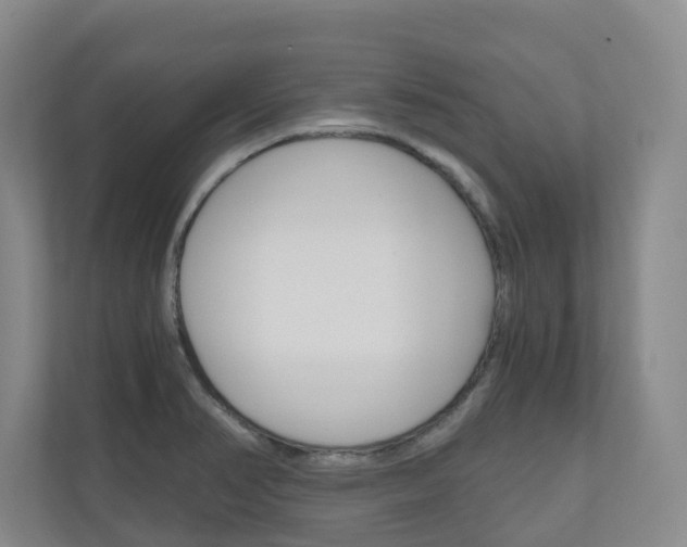 X0000111031374200906251109