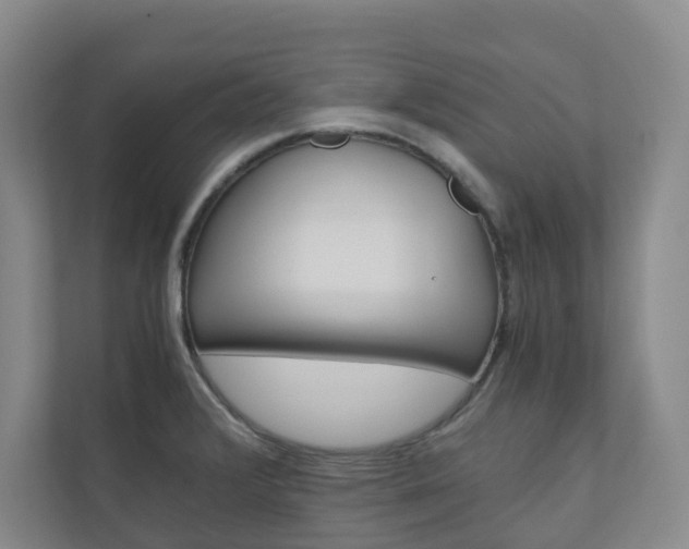 X0000111031376200906251109
