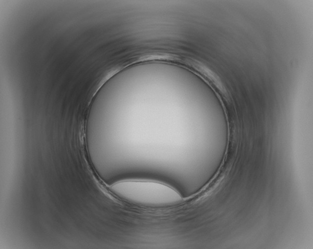 X0000111031377200906251109