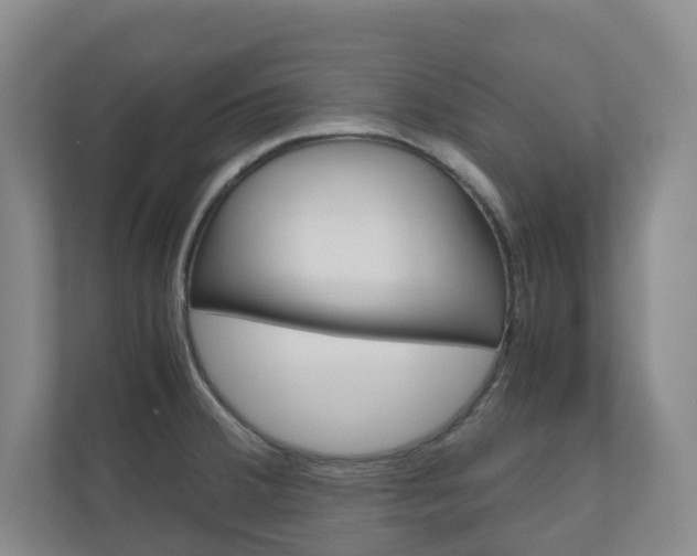 X0000111031380200906251109