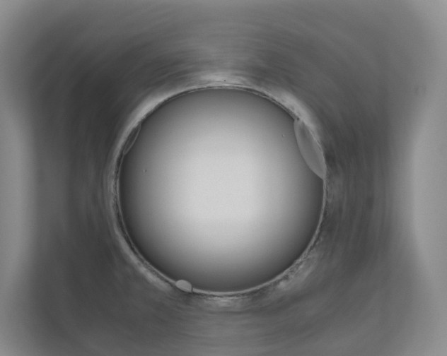 X0000111031381200906251109