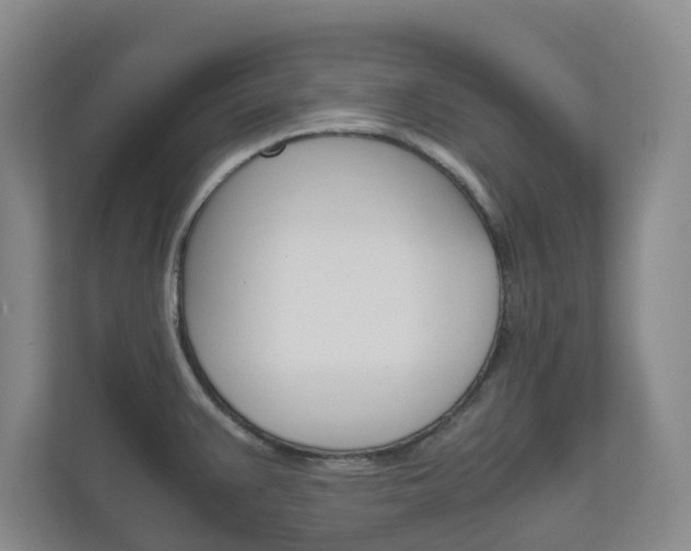 X0000111031383200906251109