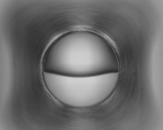 X0000111031384200906251109