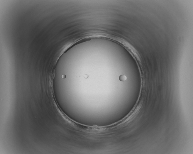 X0000111031385200906251109