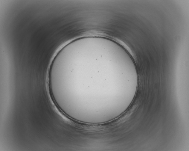 X0000111031387200906251109