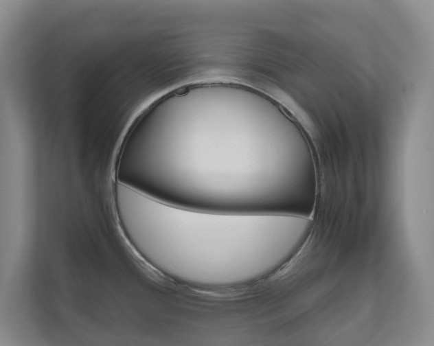 X0000111031388200906251109
