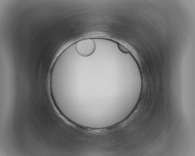X0000111031390200906251109