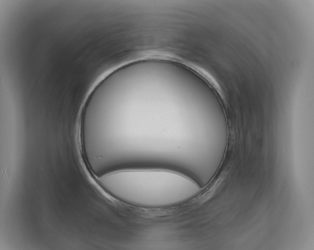 X0000111031391200906251109