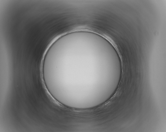 X0000111031392200906251109