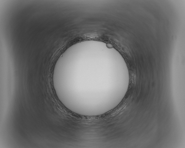 X0000111031393200906251108