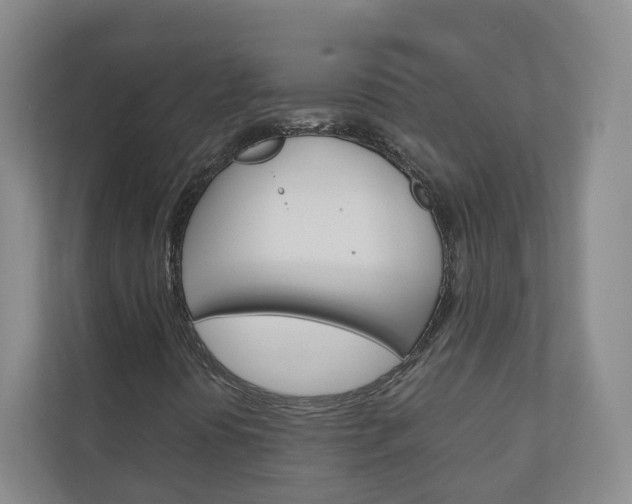 X0000111031394200906251108