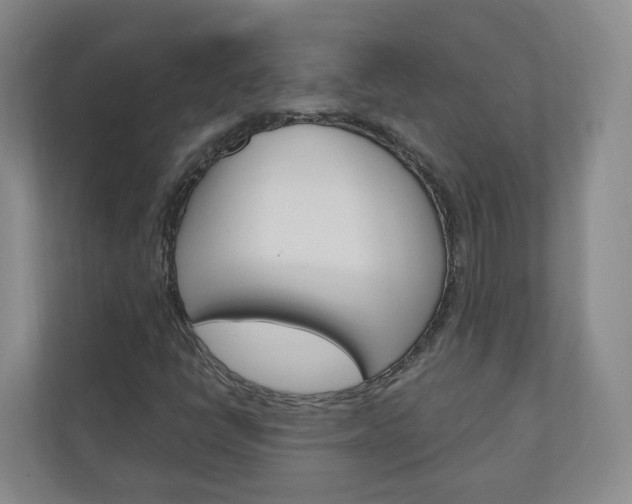X0000111031398200906251108