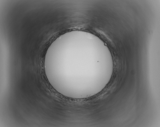 X0000111031399200906251108
