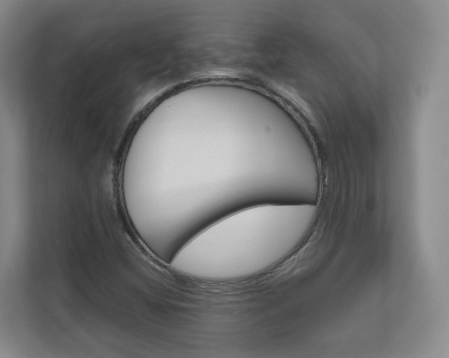 X0000111031404200906251108