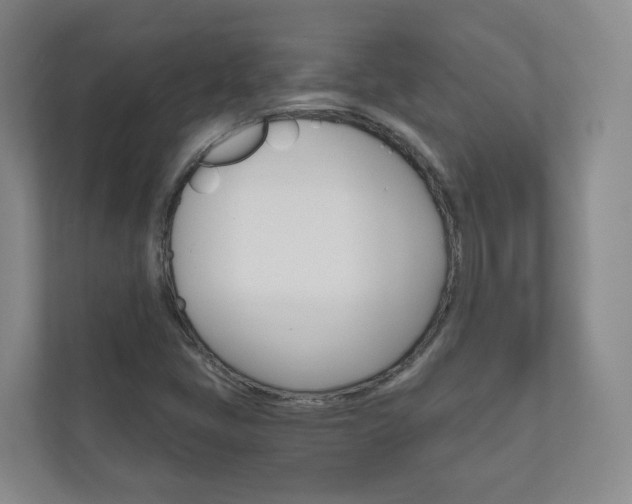 X0000111031405200906251108