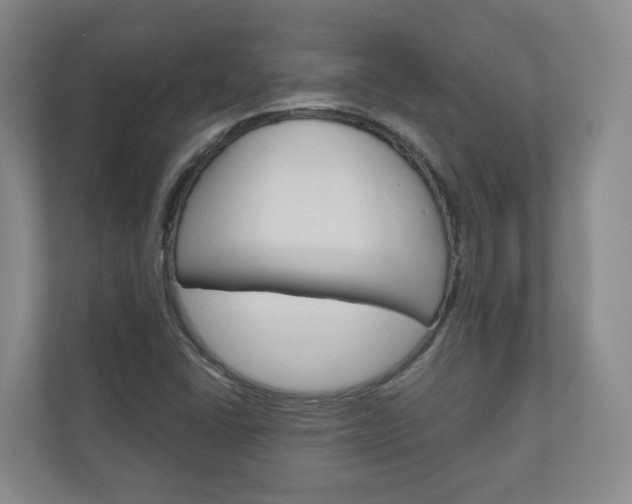 X0000111031406200906251108