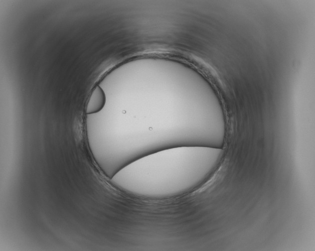 X0000111031409200906251108