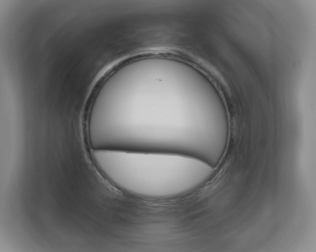X0000111031412200906251108