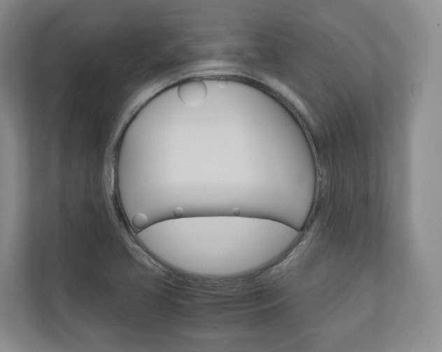 X0000111031413200906251108