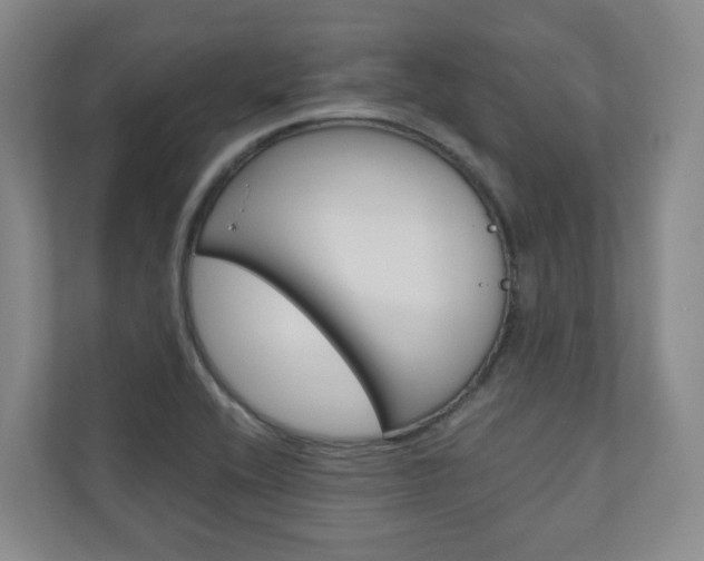 X0000111031416200906251108