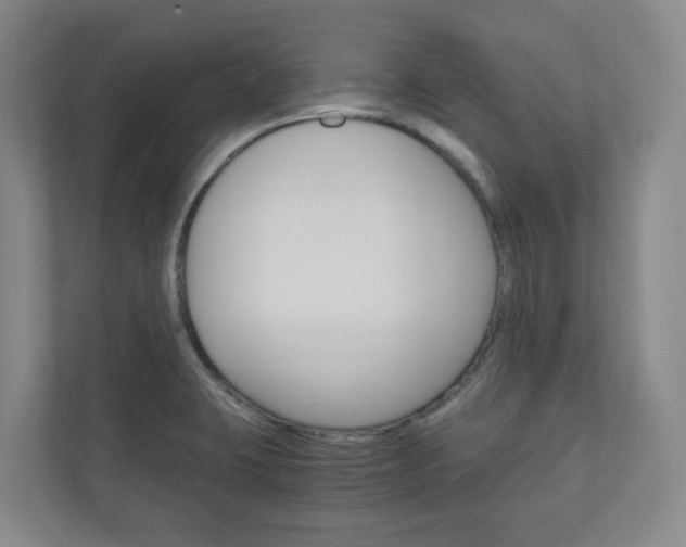 X0000111031423200906251109