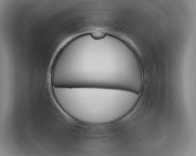 X0000111031424200906251109