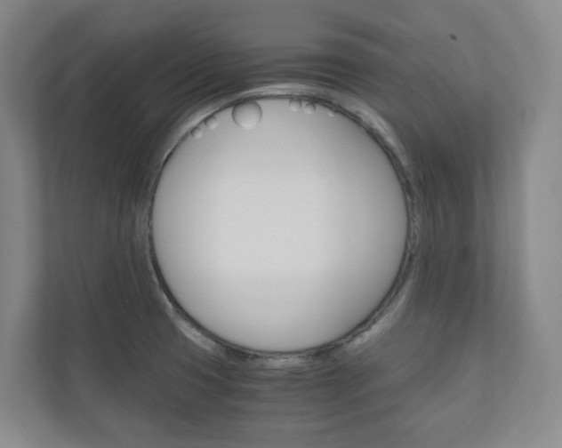 X0000111031425200906251109