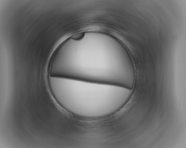 X0000111031426200906251109