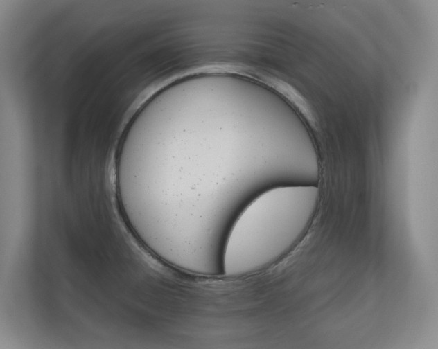 X0000111031428200906251109