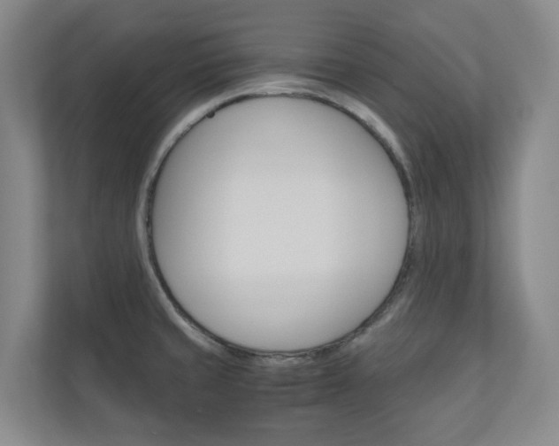 X0000111031429200906251109