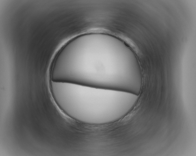 X0000111031430200906251109
