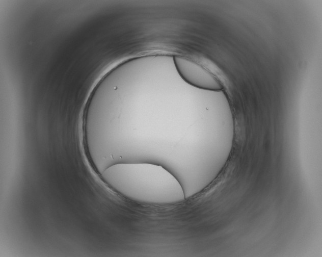 X0000111031431200906251109