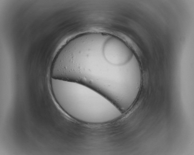 X0000111031432200906251109