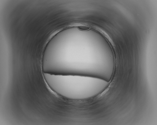 X0000111031433200906251109