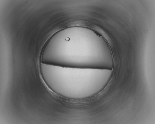 X0000111031434200906251109