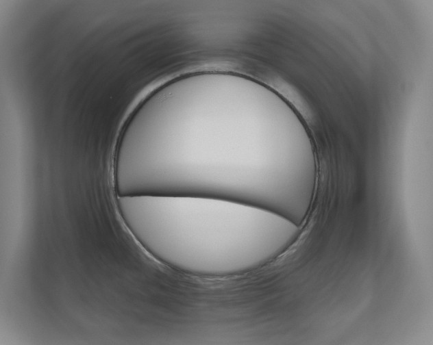 X0000111031436200906251109