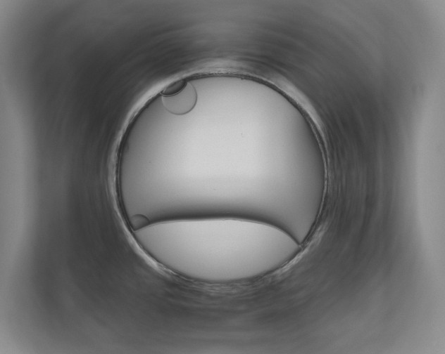 X0000111031437200906251109