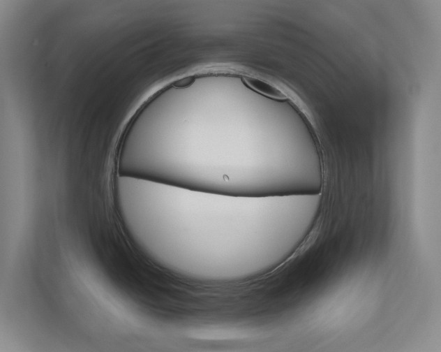 X0000111031438200906251109