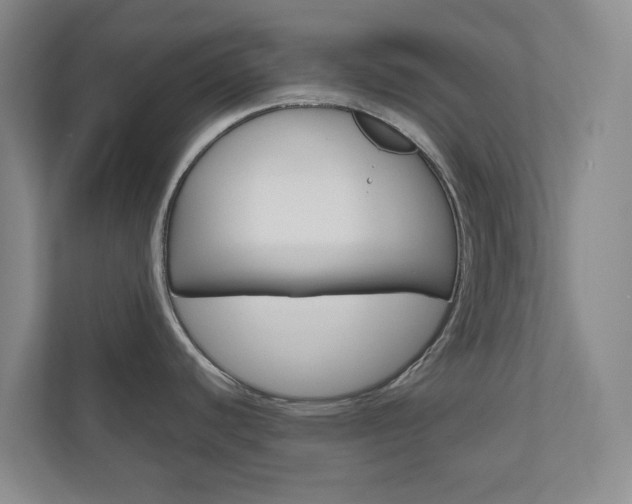 X0000111031440200906251109