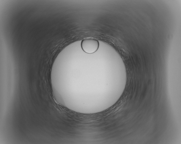 X0000111031441200906251108