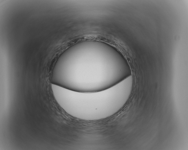 X0000111031445200906251108