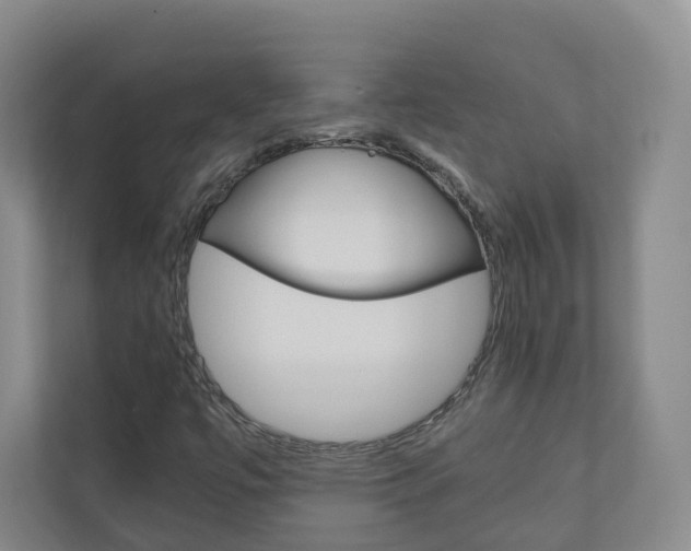 X0000111031447200906251108
