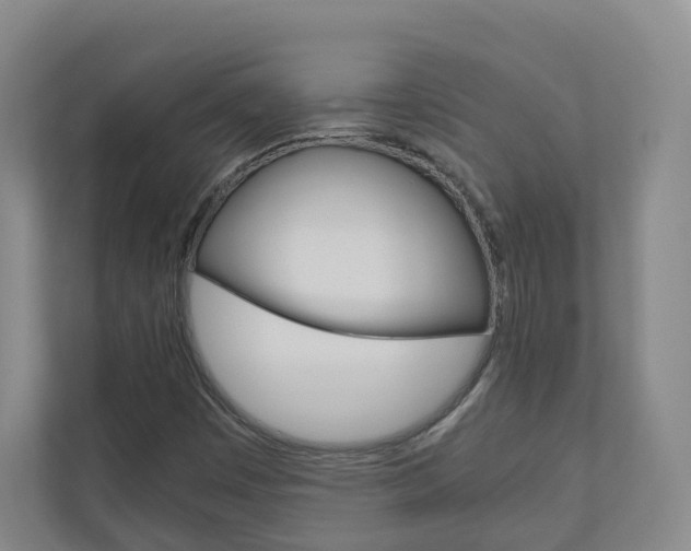 X0000111031449200906251108
