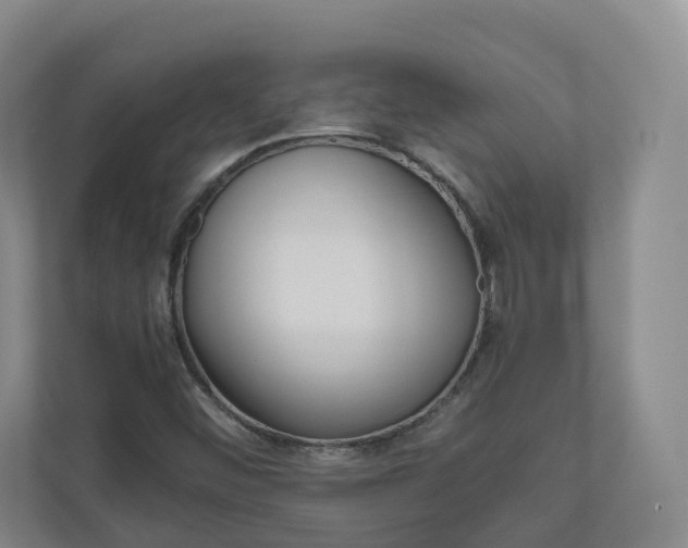 X0000111031452200906251108