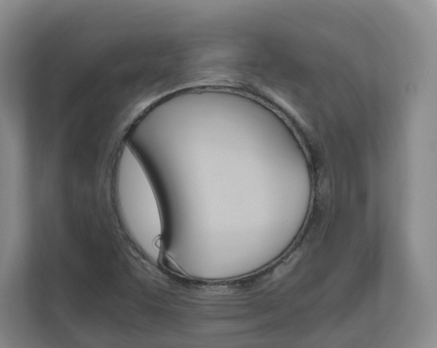 X0000111031455200906251108