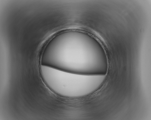 X0000111031456200906251108