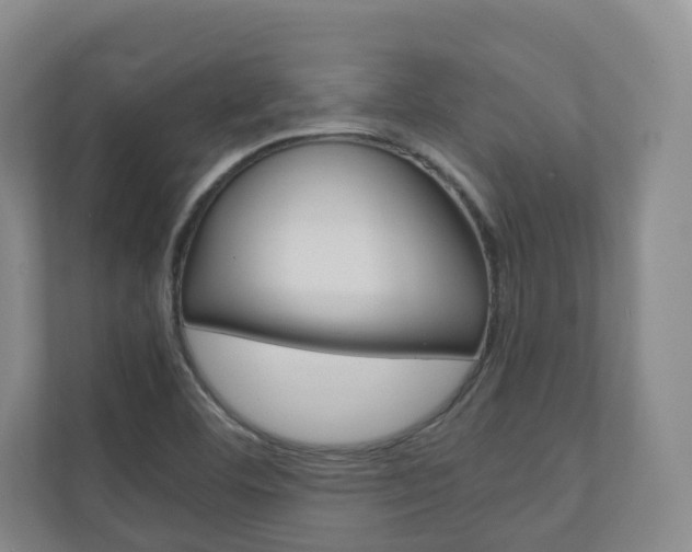 X0000111031460200906251108