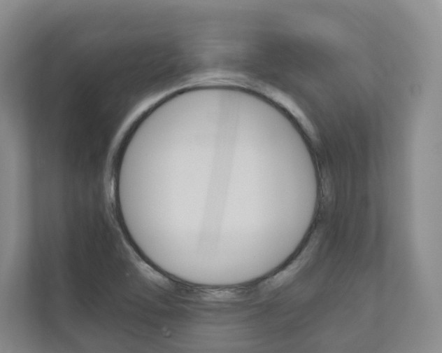 X0000111031462200906251108